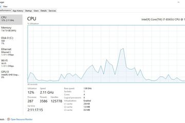 Windows Task Manager - Performance screen